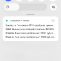 Используют данные паспорта клиентов с целью оформления кредита