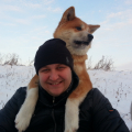 Дрессировка Акита Ину.