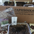 Отличный сайт!