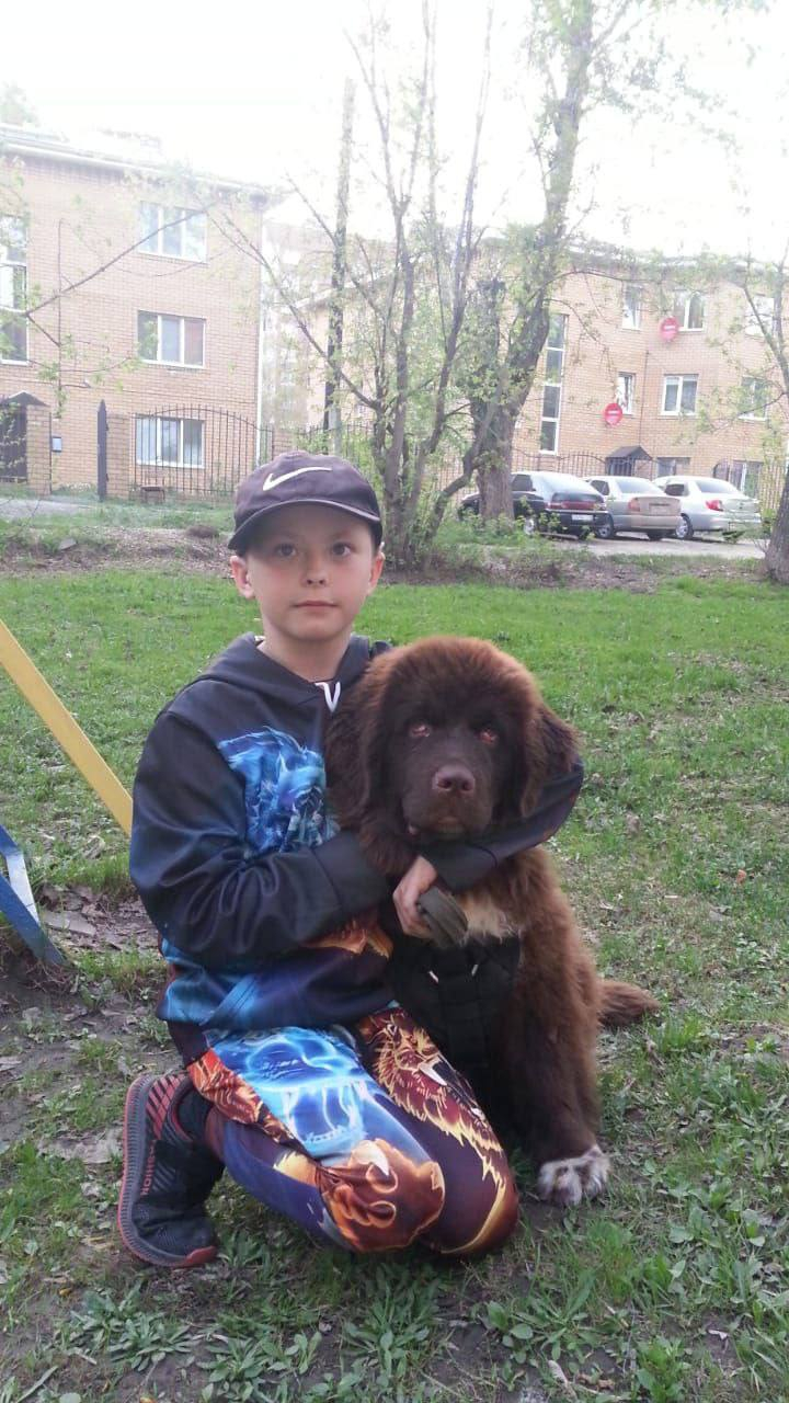 Дрессировщик Алтайский Игорь Борисович - Профессиональная работа