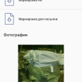 Пропал груз от 31.10.2020 Ни кто вразумительно ответить не может?