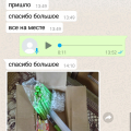 Реальные отзывы наших клиентов