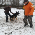 Низкий поклон и глубокое уважение