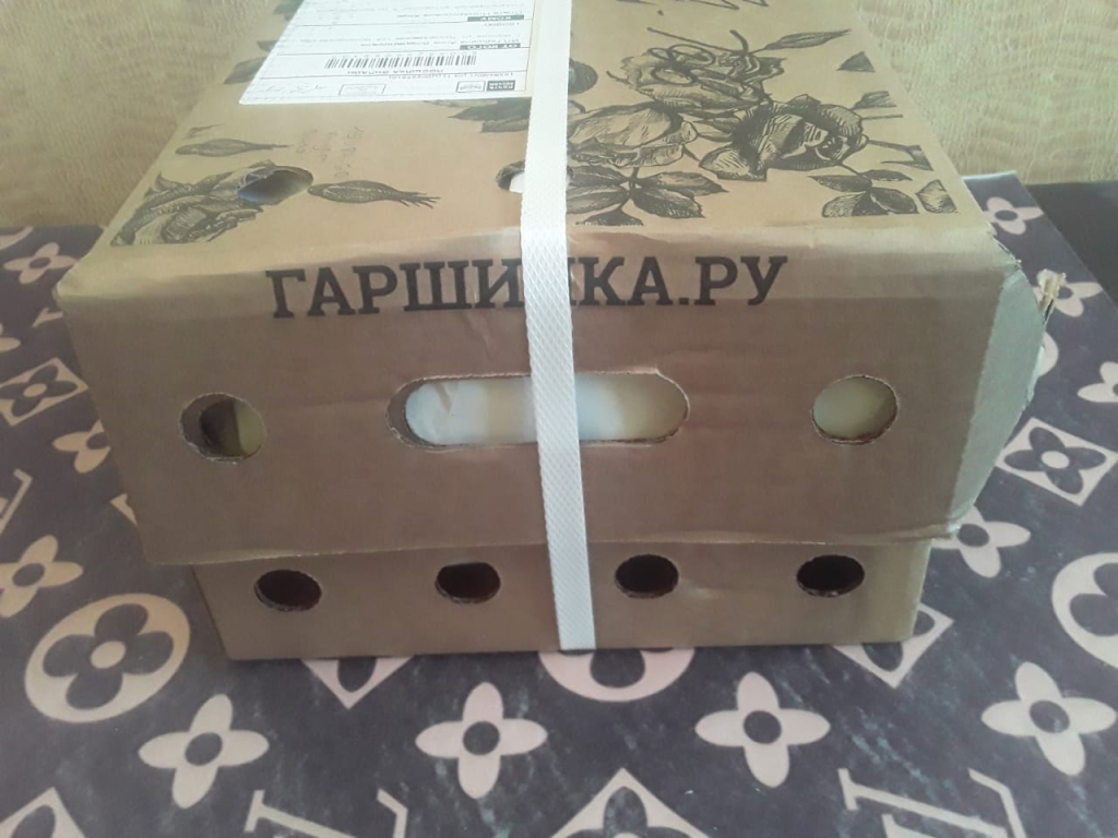 Гаршинка гипермаркет садовых растений - Профессиональный и достойный интернет-магазин растений