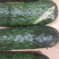 Тухлые и гнилые продукты