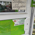Ветеранов 141 Спб