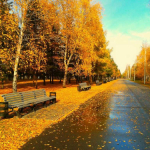 Кирилл