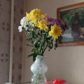 Ужасы нашего городка
