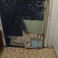 Морозов С С и Ипполитова Д