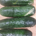 Тухлые и гнилые продукты
