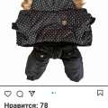 https://instagram.com/pet_friendly_shop?igshid=11qdjh5tyxw