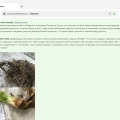 Мошенники , никому не посоветую покупать у них растения